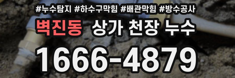 벽진동 상가 천장 누수