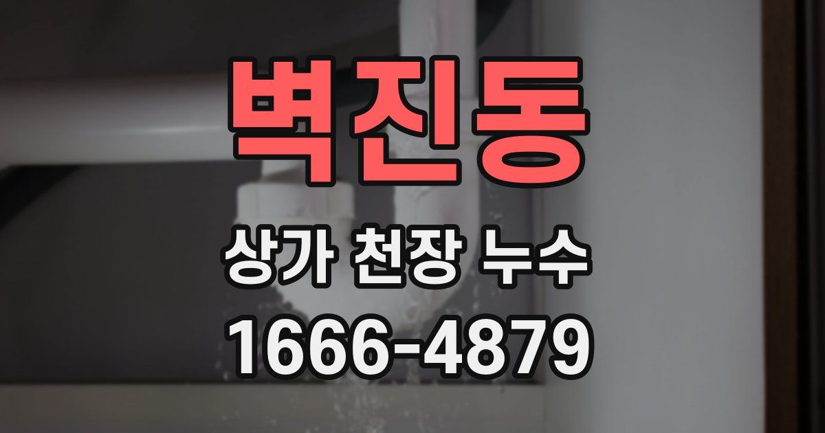 벽진동 상가 천장 누수