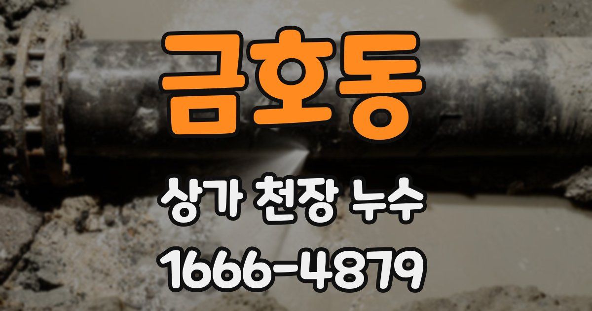 금호동 상가 천장 누수