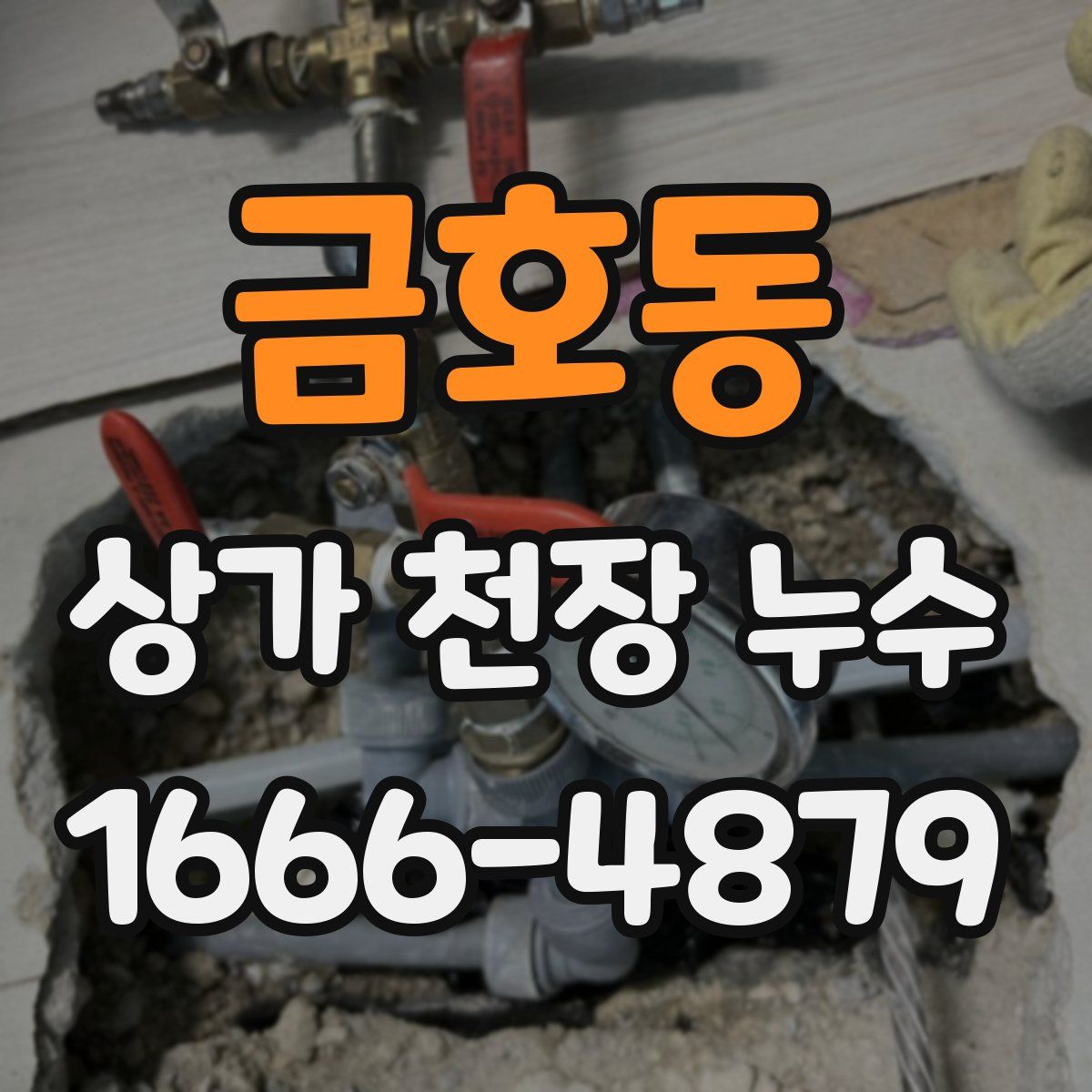 금호동 상가 천장 누수