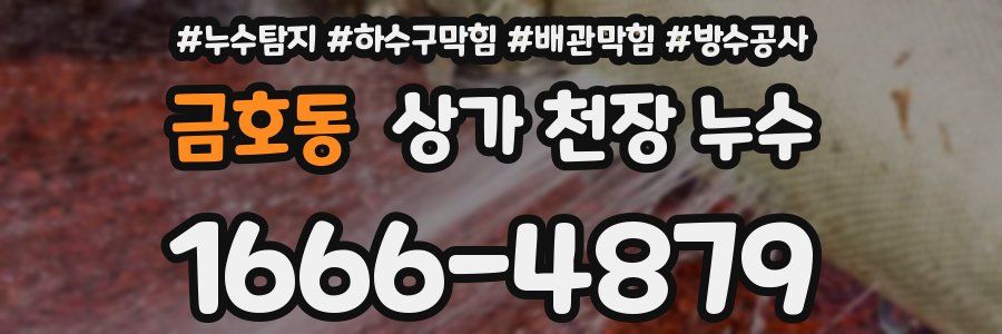 금호동 상가 천장 누수