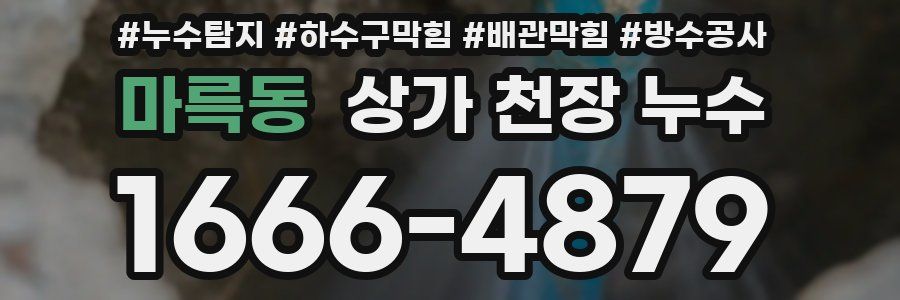 마륵동 상가 천장 누수
