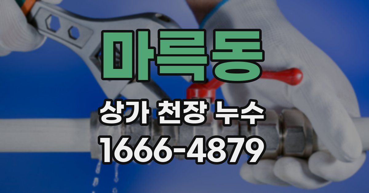 마륵동 상가 천장 누수