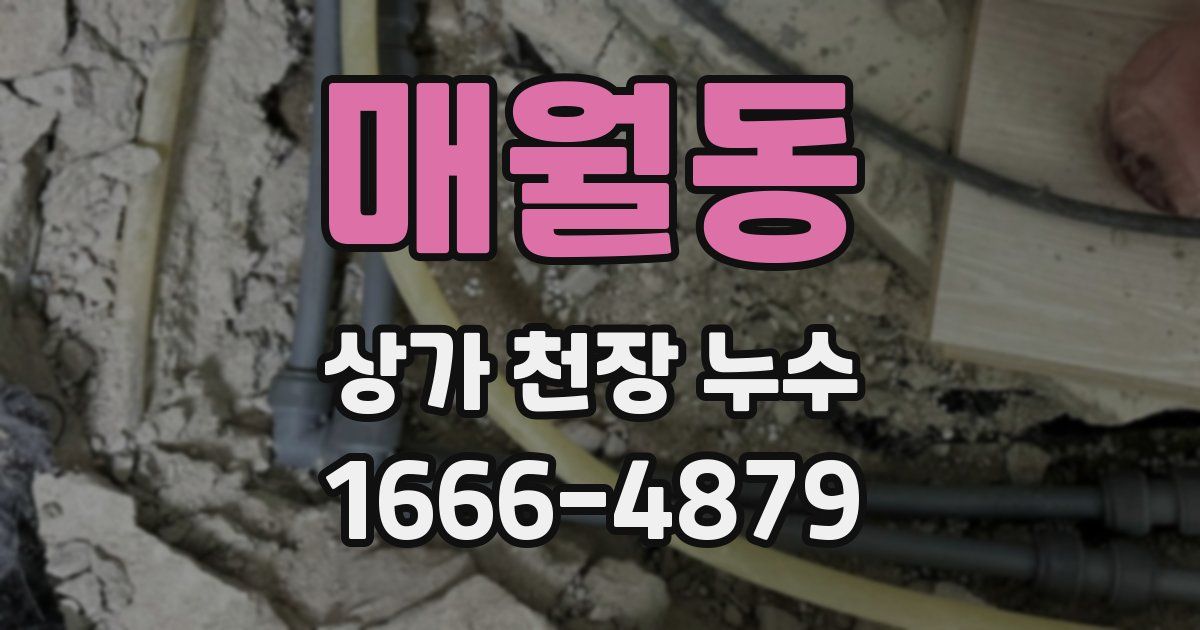 매월동 상가 천장 누수