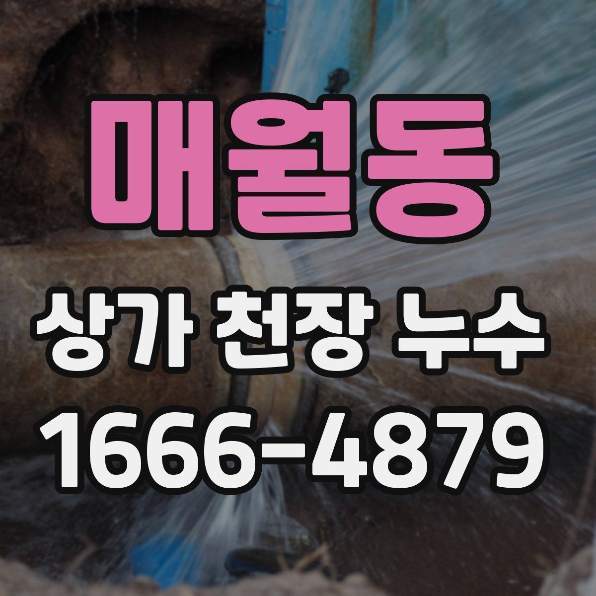 매월동 상가 천장 누수