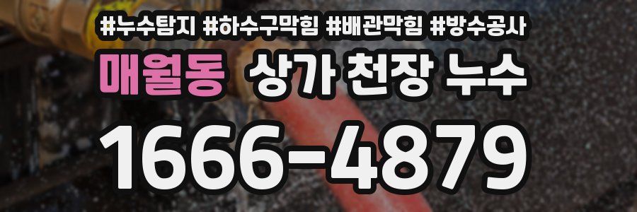 매월동 상가 천장 누수