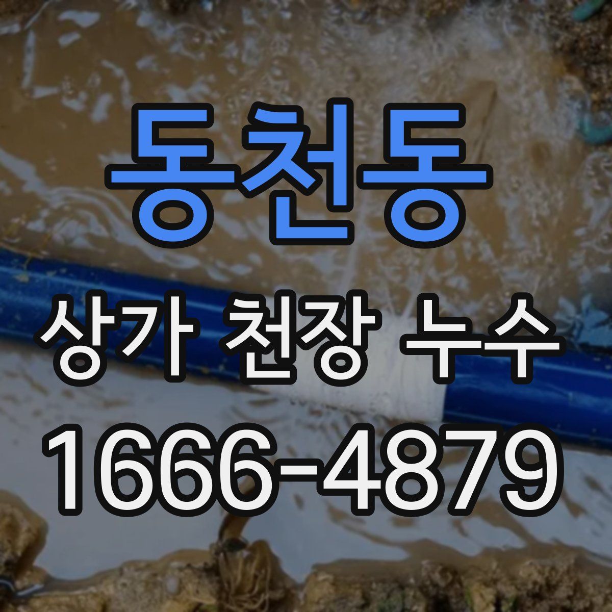 동천동 상가 천장 누수
