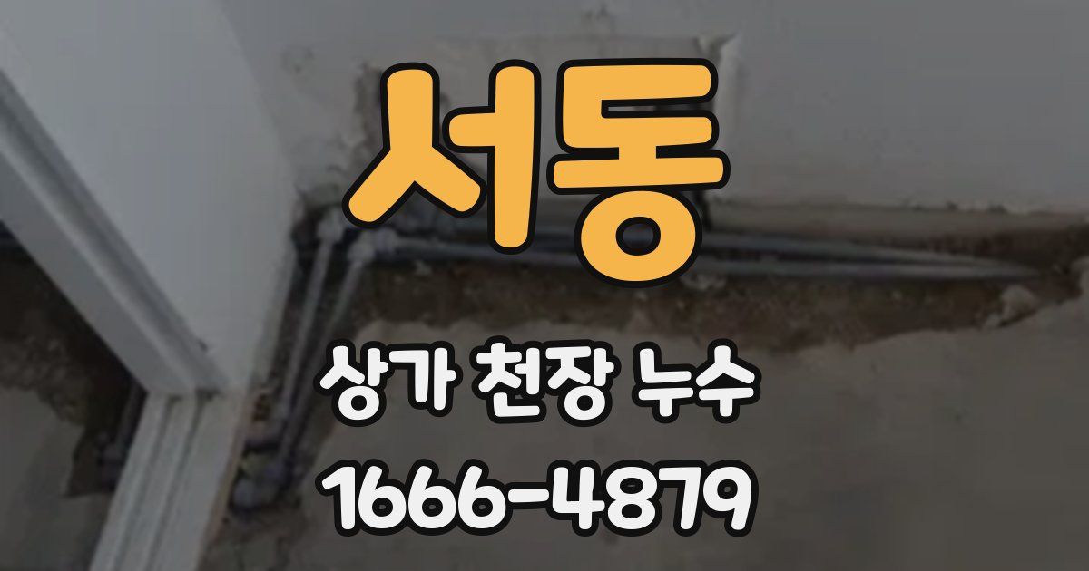 서동 상가 천장 누수