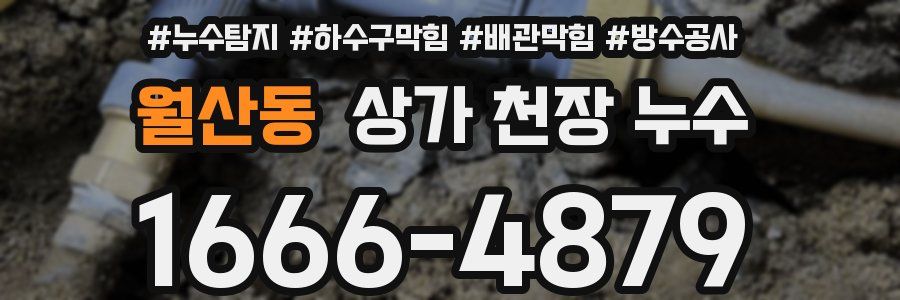 월산동 상가 천장 누수