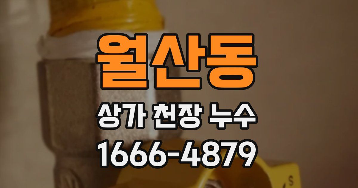 월산동 상가 천장 누수