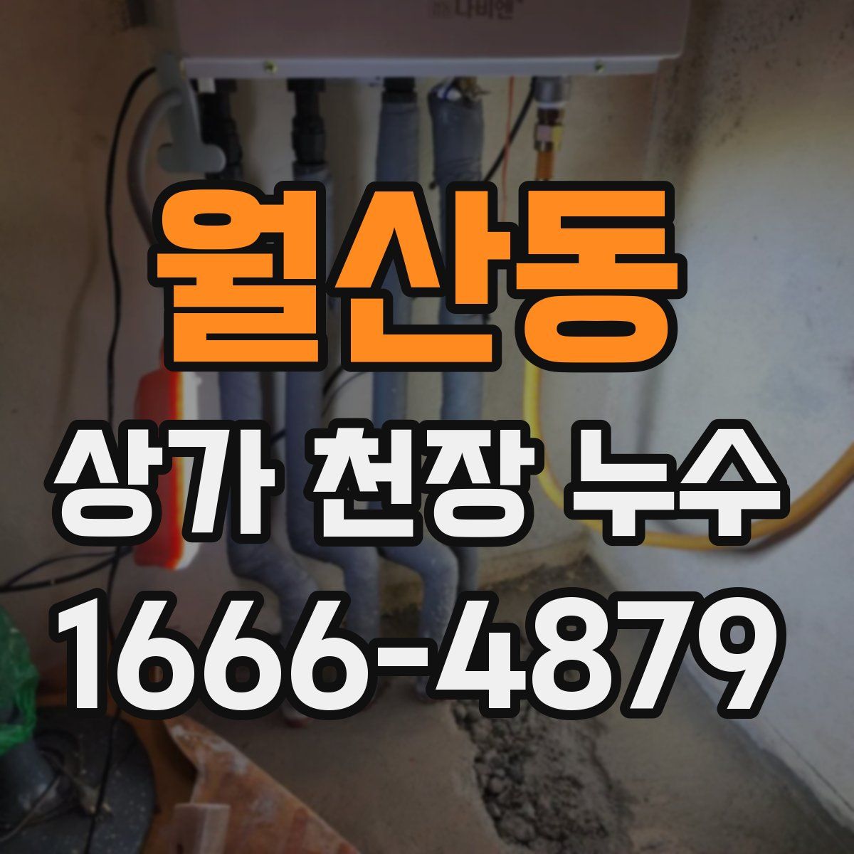 월산동 상가 천장 누수