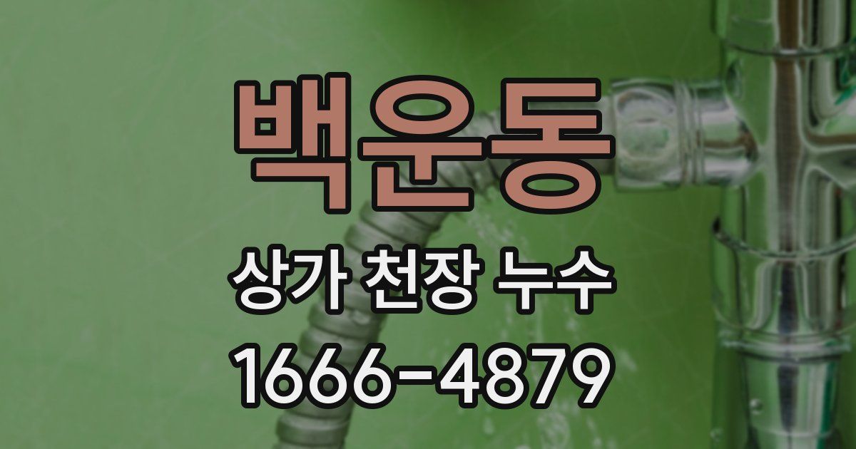 백운동 상가 천장 누수