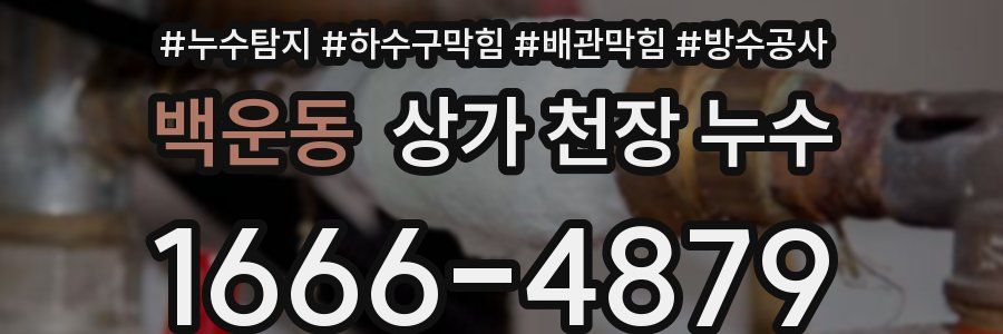 백운동 상가 천장 누수