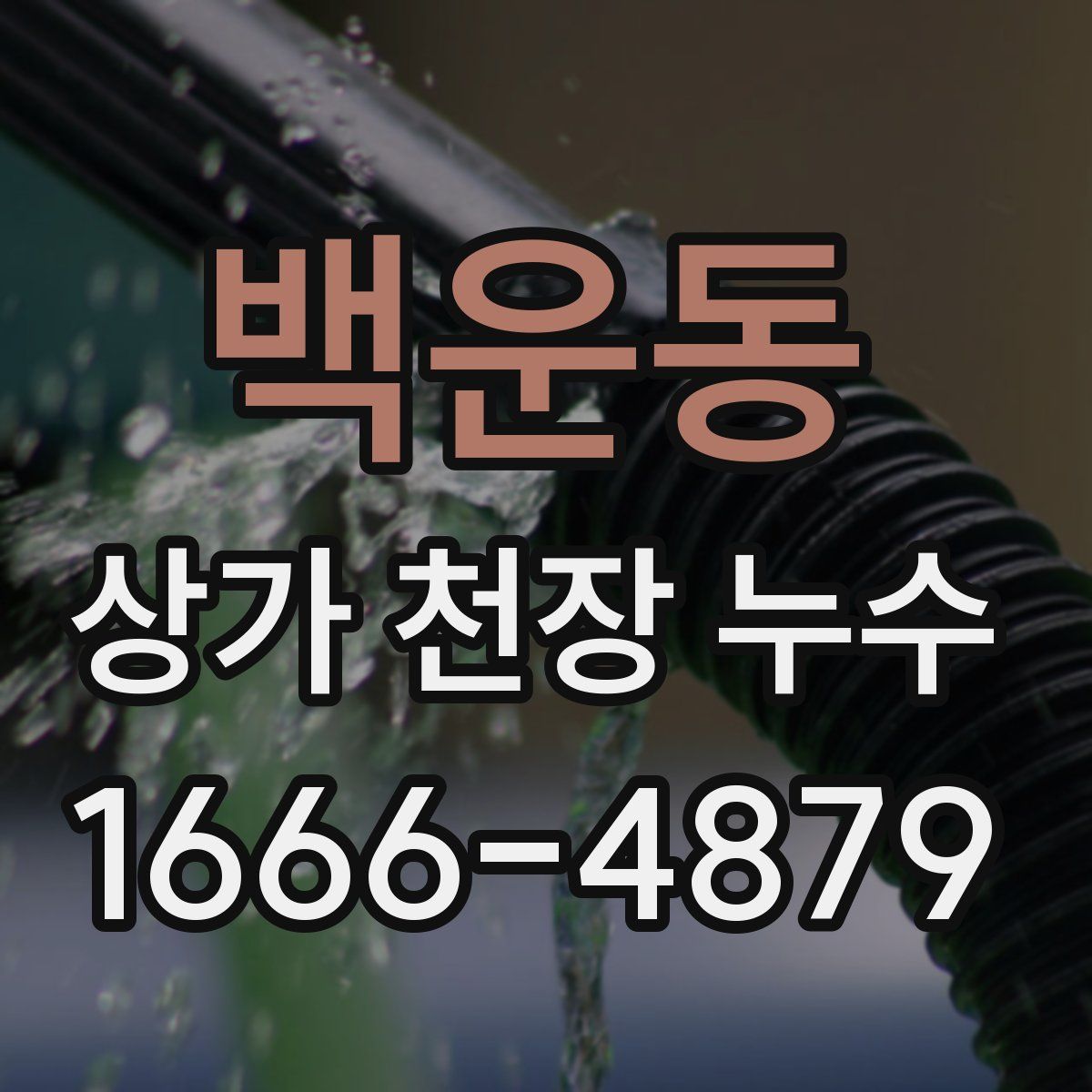 백운동 상가 천장 누수