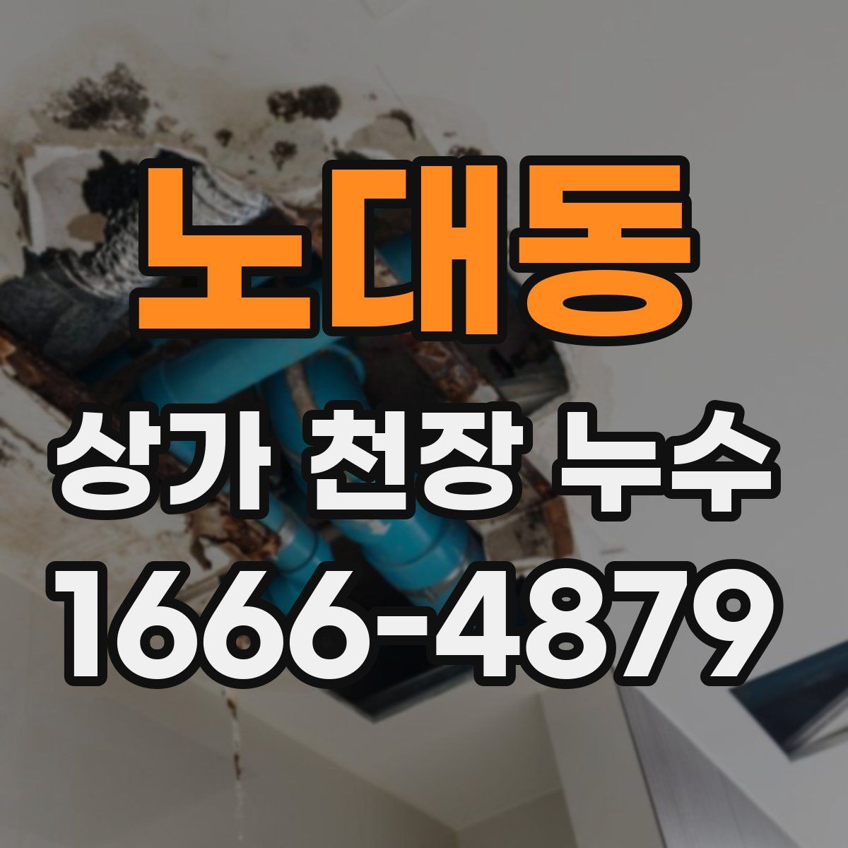 노대동 상가 천장 누수