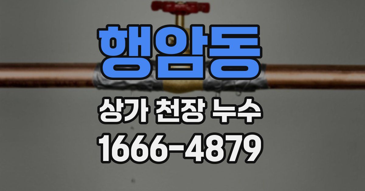 행암동 상가 천장 누수