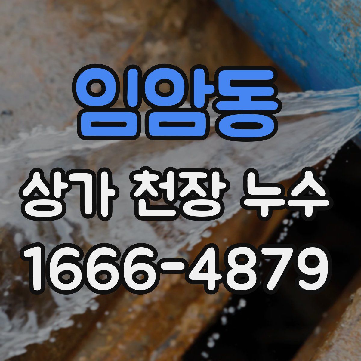 임암동 상가 천장 누수