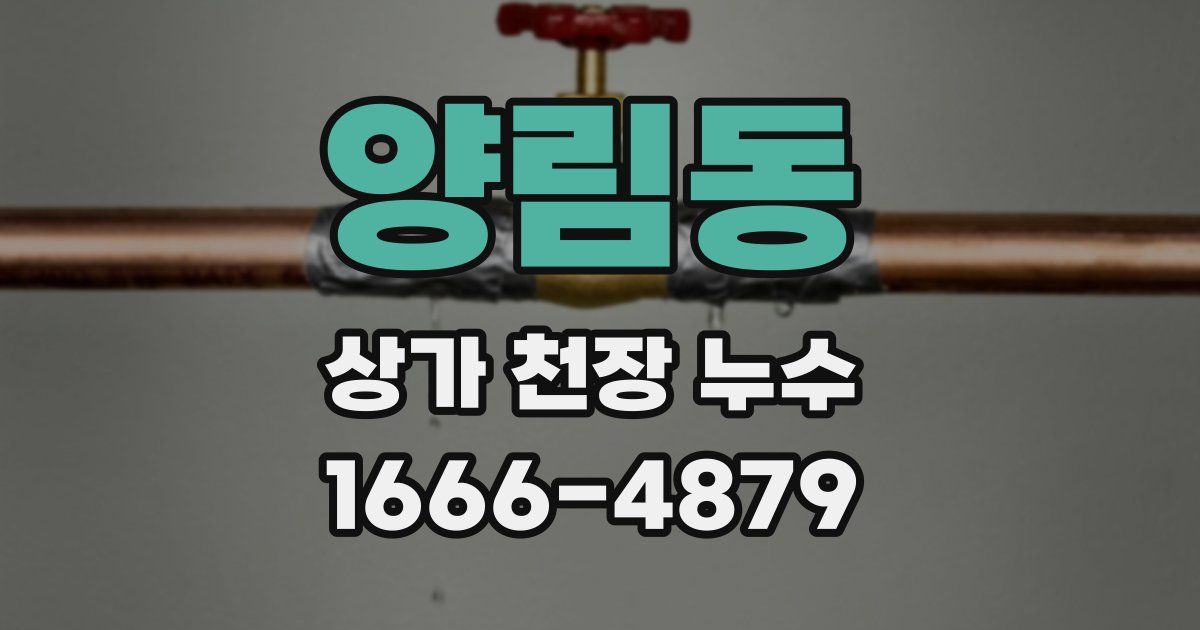 양림동 상가 천장 누수