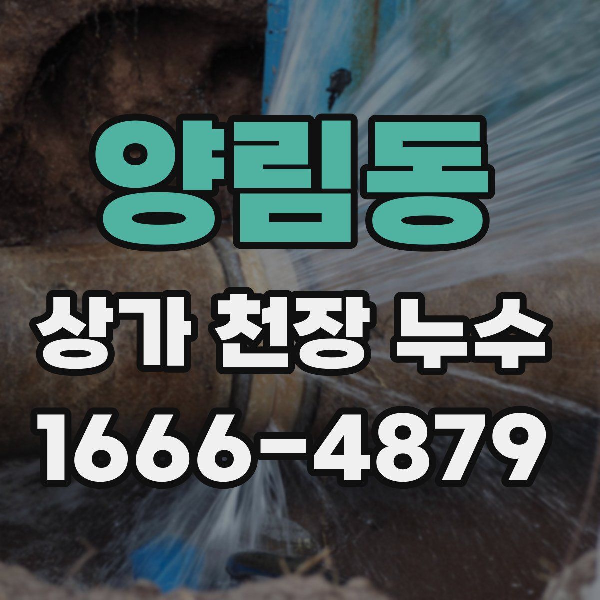 양림동 상가 천장 누수