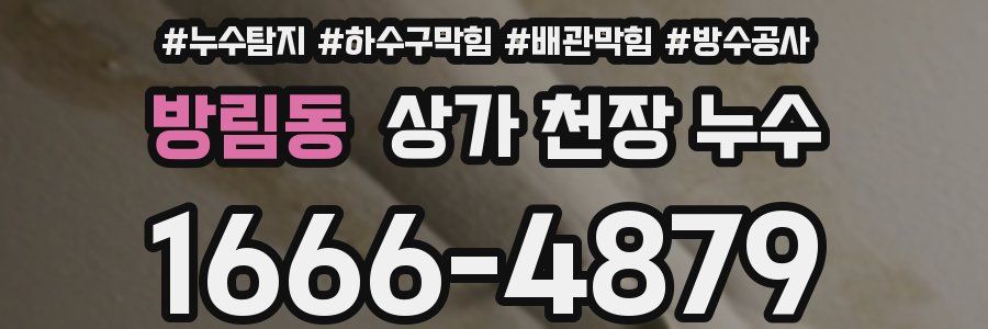 방림동 상가 천장 누수