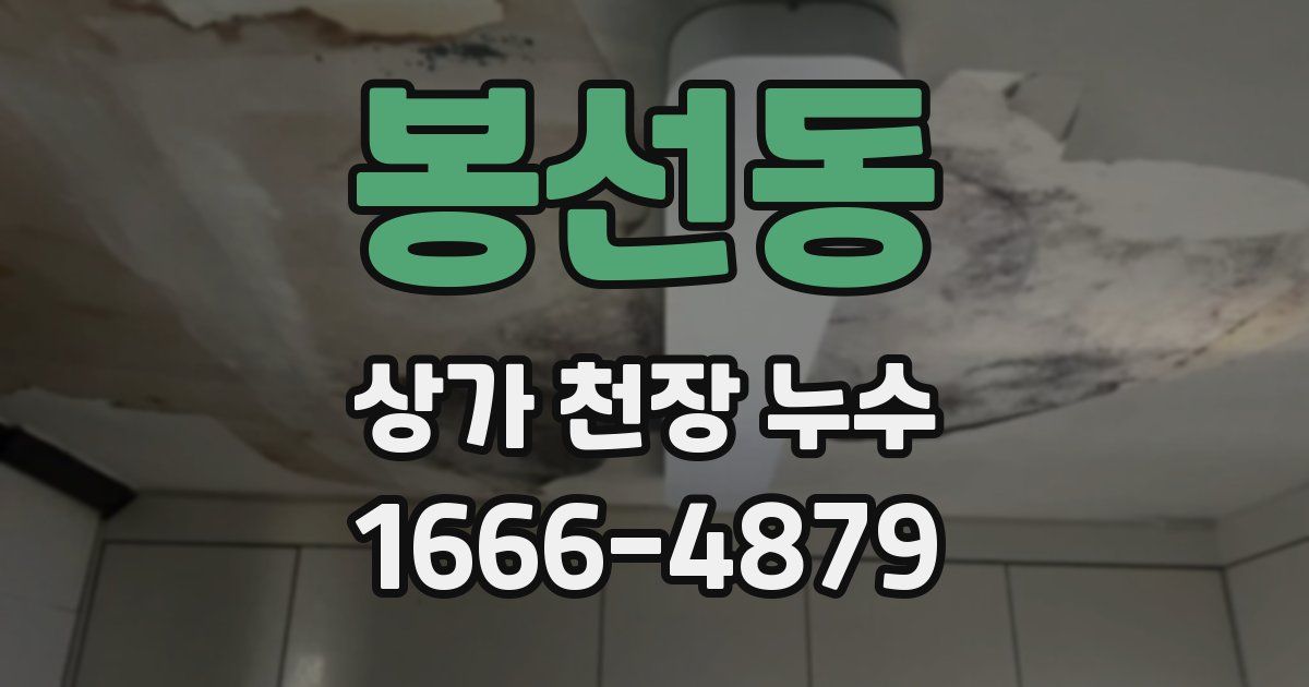 봉선동 상가 천장 누수