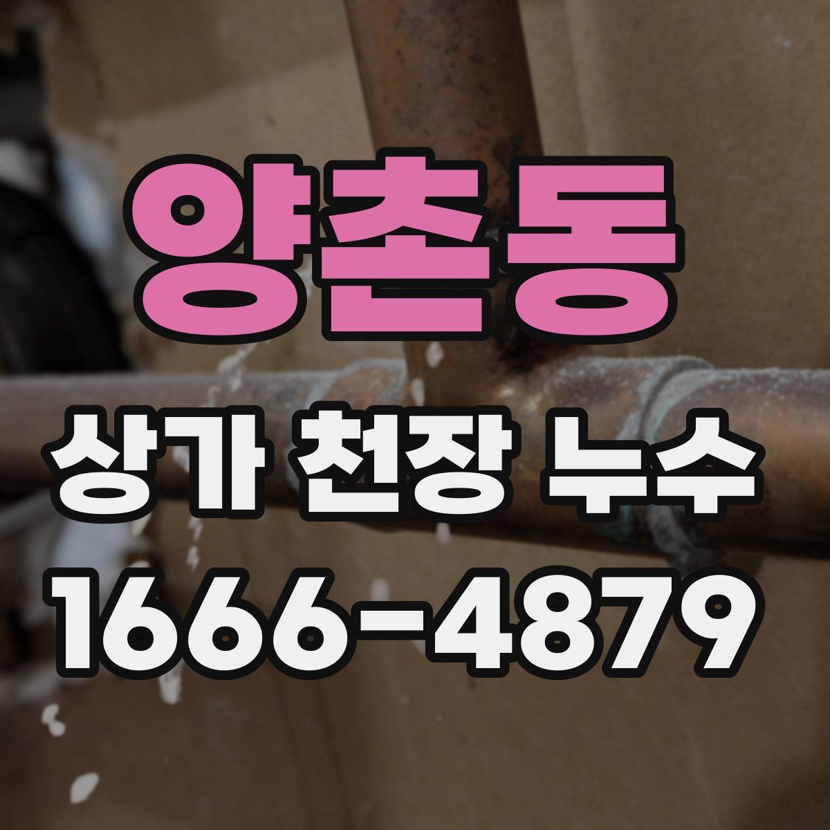 양촌동 상가 천장 누수