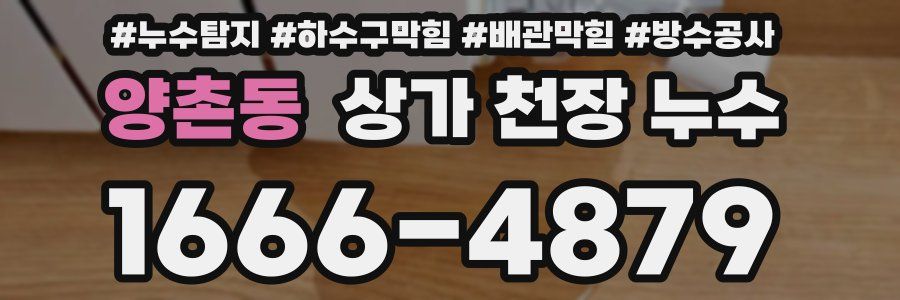 양촌동 상가 천장 누수