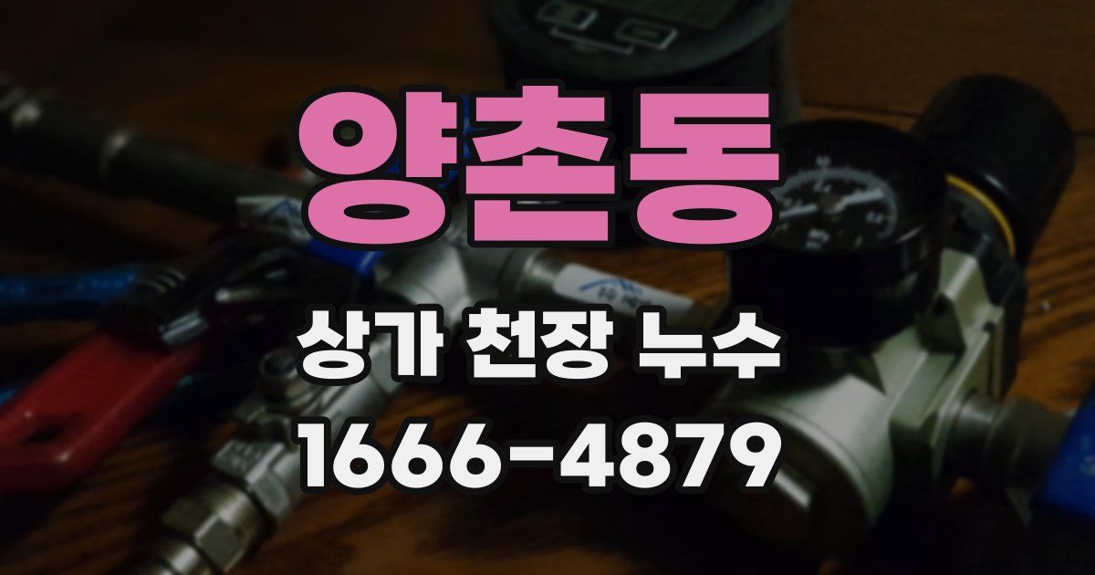 양촌동 상가 천장 누수