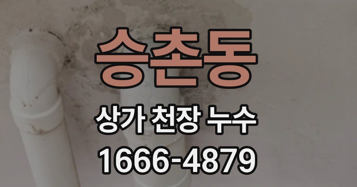 승촌동 상가 천장 누수