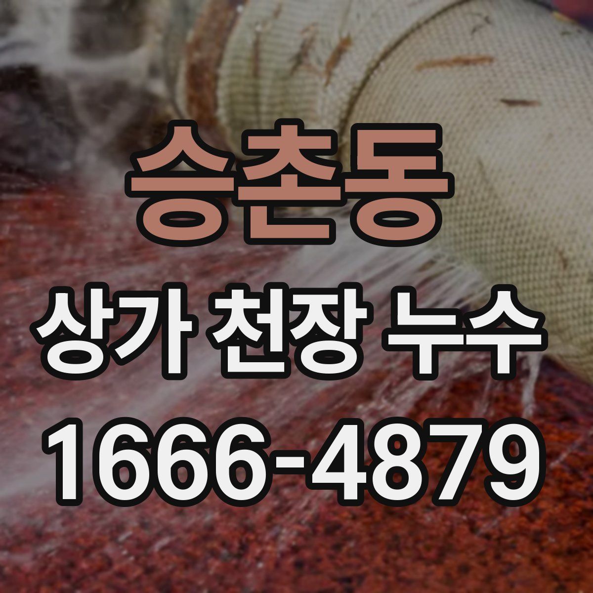승촌동 상가 천장 누수