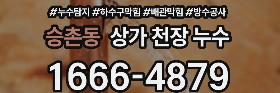 승촌동 상가 천장 누수