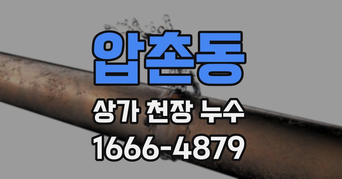 압촌동 상가 천장 누수
