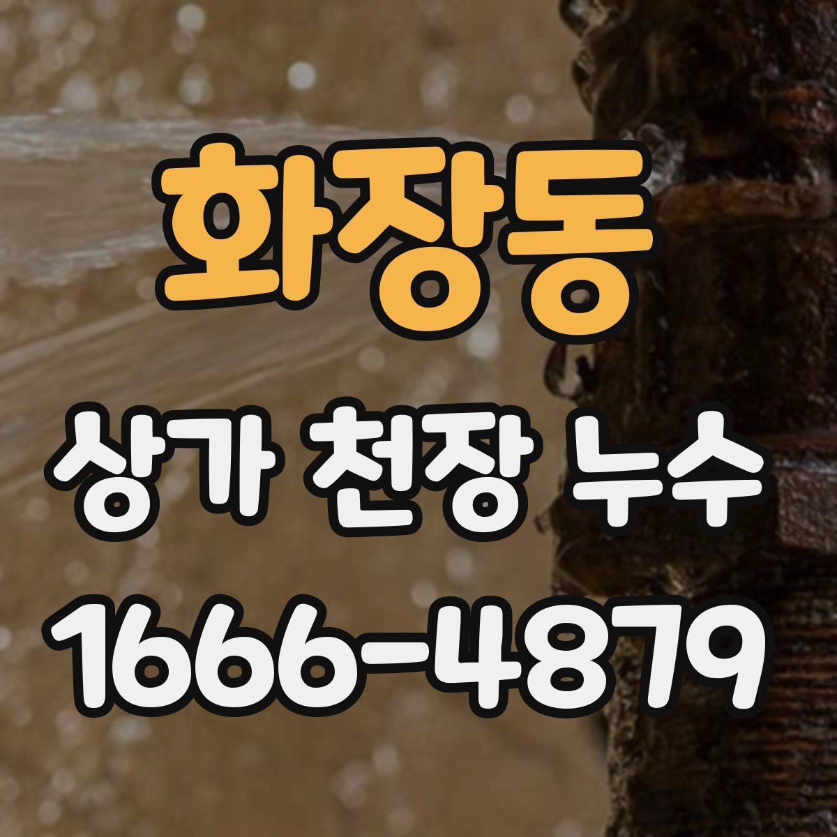 화장동 상가 천장 누수