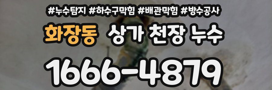 화장동 상가 천장 누수