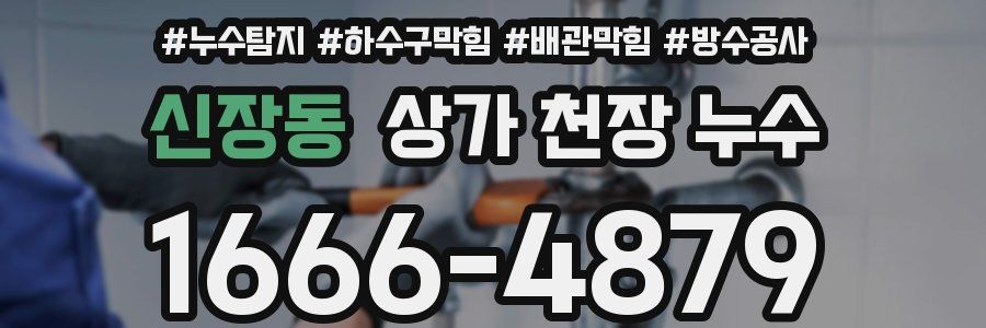 신장동 상가 천장 누수
