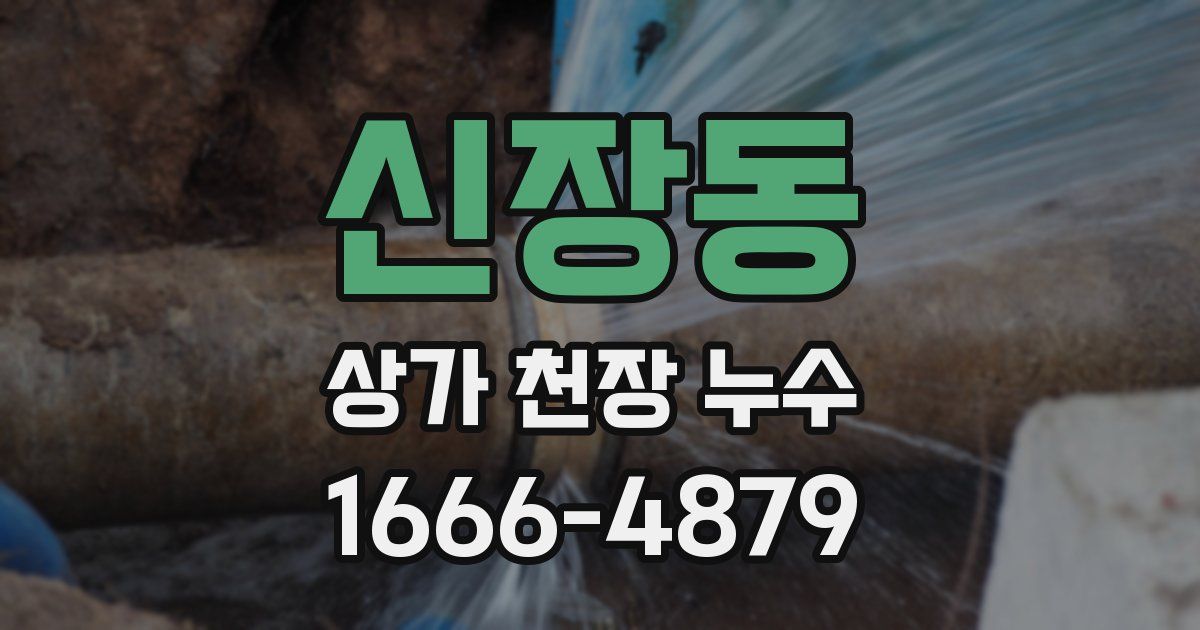 신장동 상가 천장 누수
