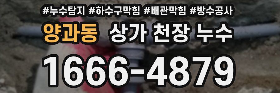 양과동 상가 천장 누수