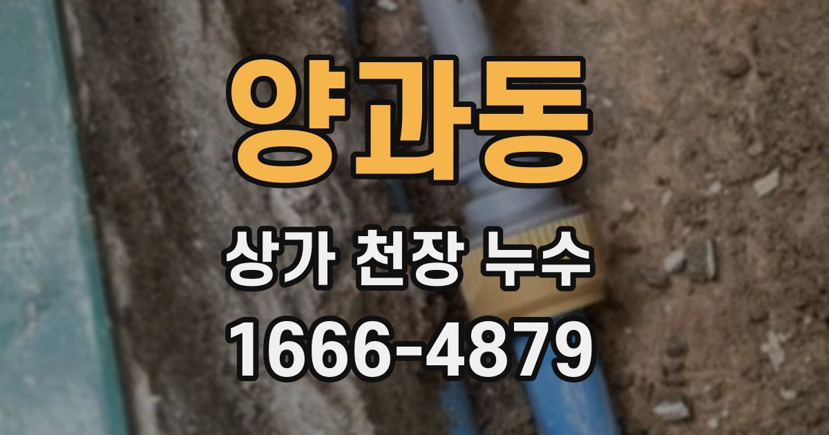 양과동 상가 천장 누수