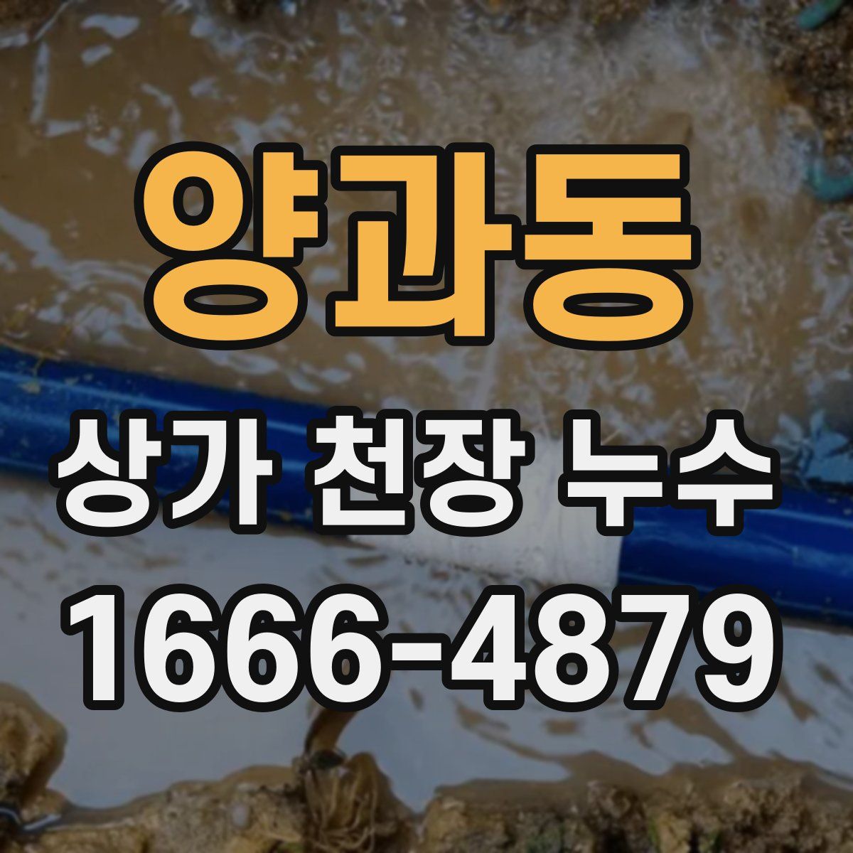 양과동 상가 천장 누수