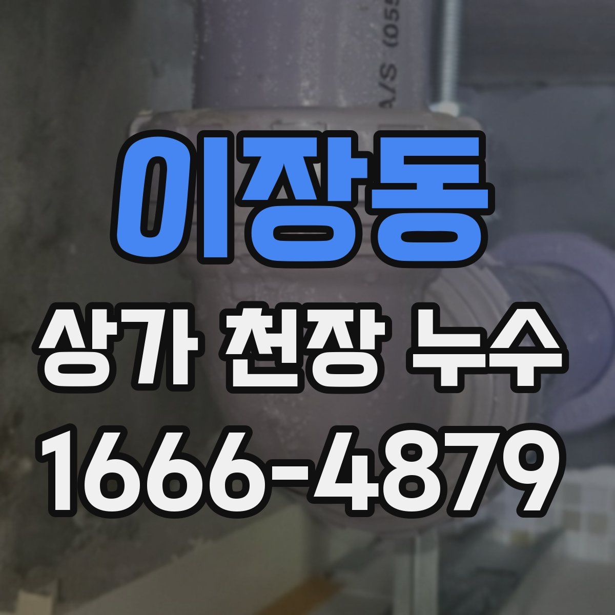 이장동 상가 천장 누수
