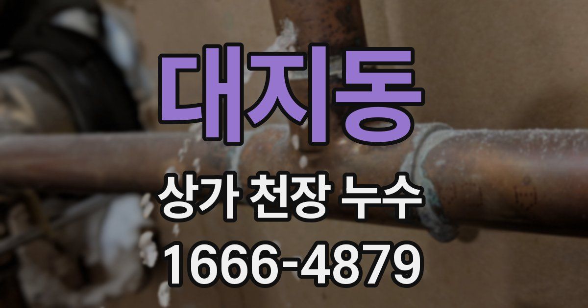 대지동 상가 천장 누수