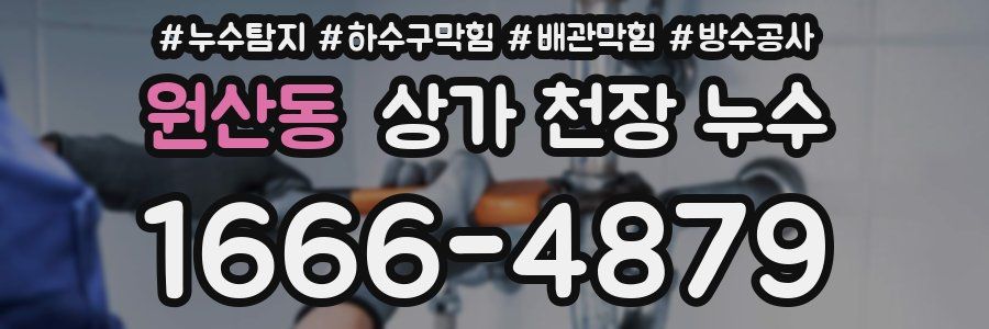 원산동 상가 천장 누수