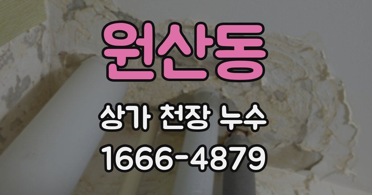 원산동 상가 천장 누수