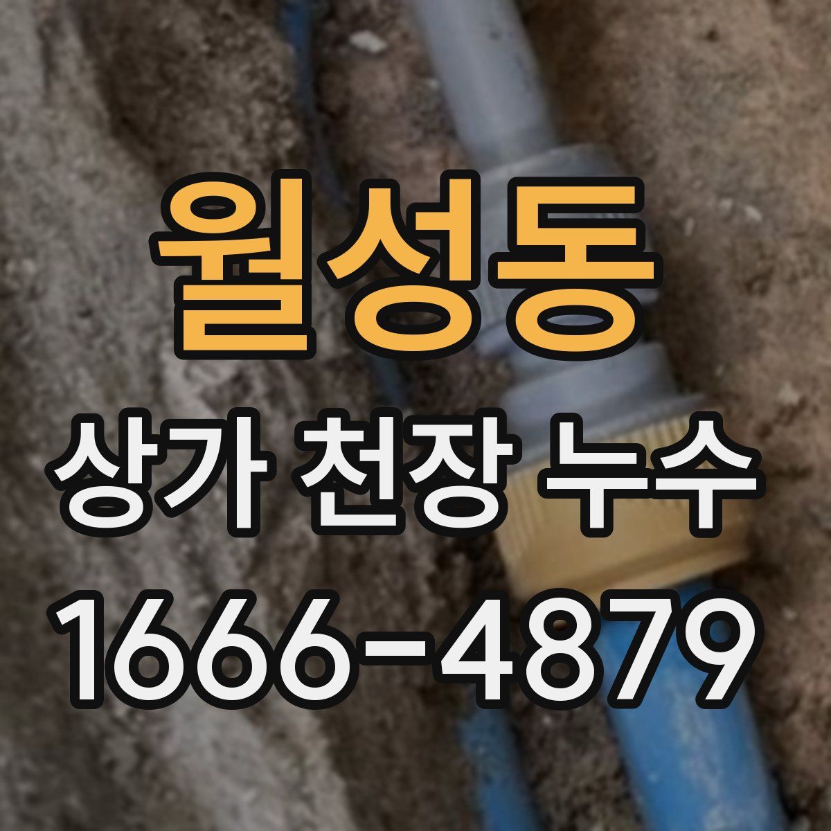 월성동 상가 천장 누수