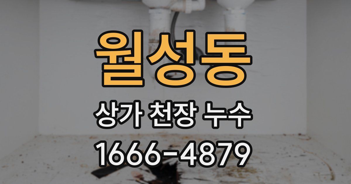 월성동 상가 천장 누수