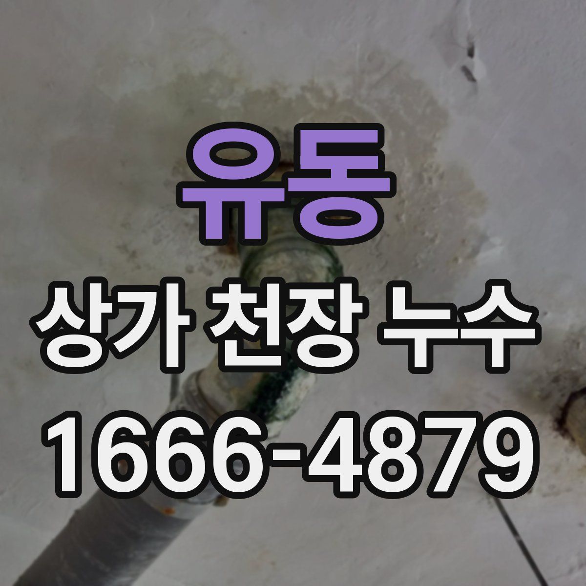 유동 상가 천장 누수