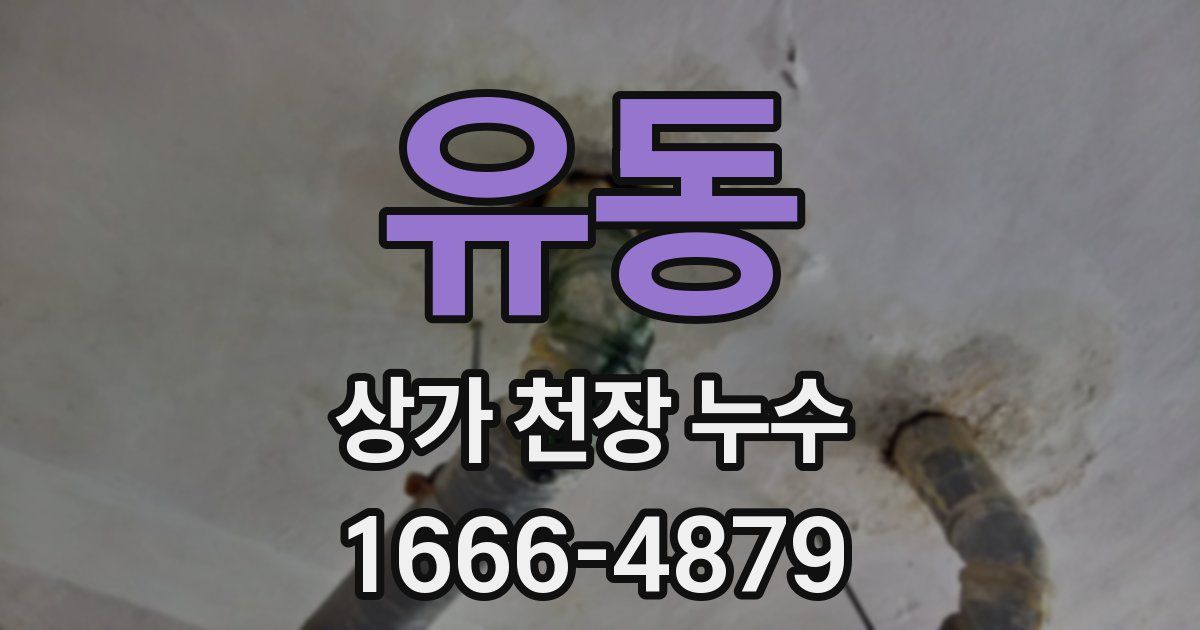 유동 상가 천장 누수