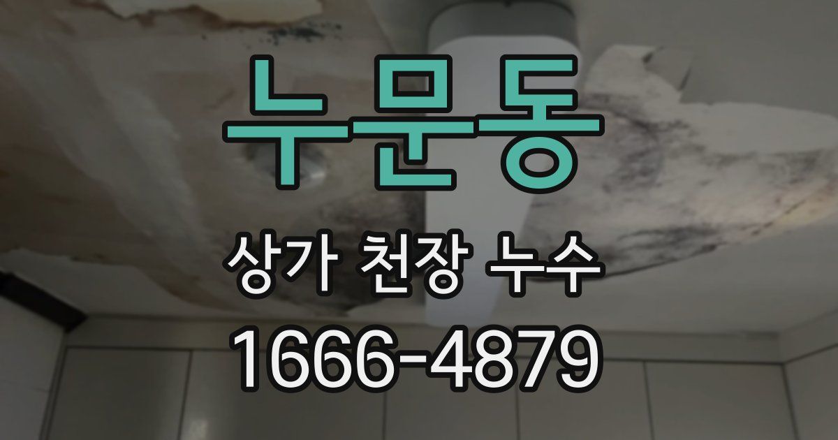 누문동 상가 천장 누수