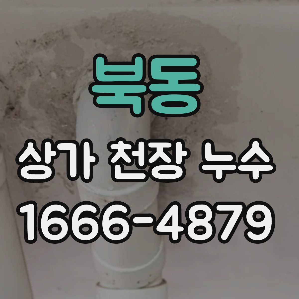 북동 상가 천장 누수