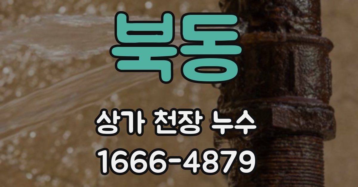 북동 상가 천장 누수